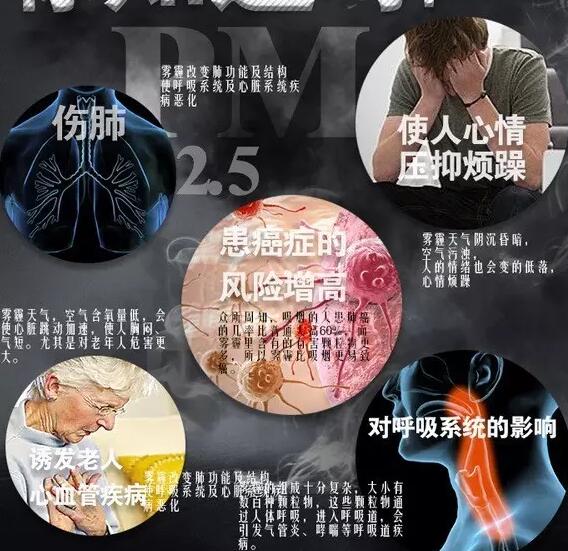 霧霾產生的疾病—小宝探花在线观看